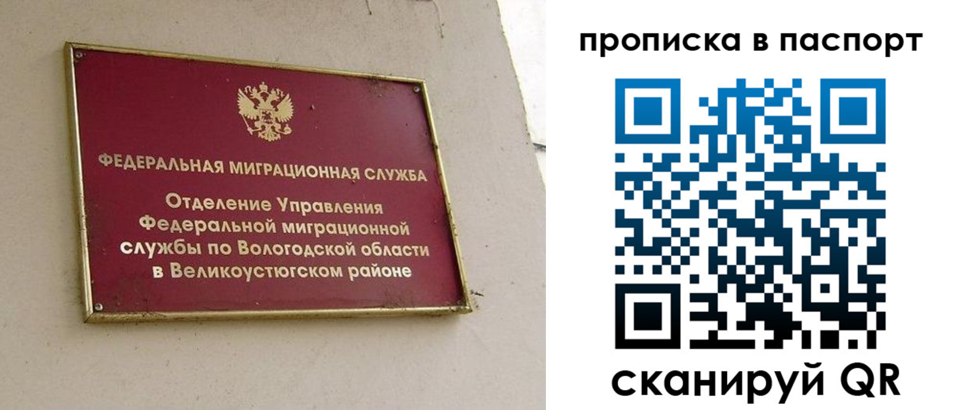 где прописаться в Чкаловске